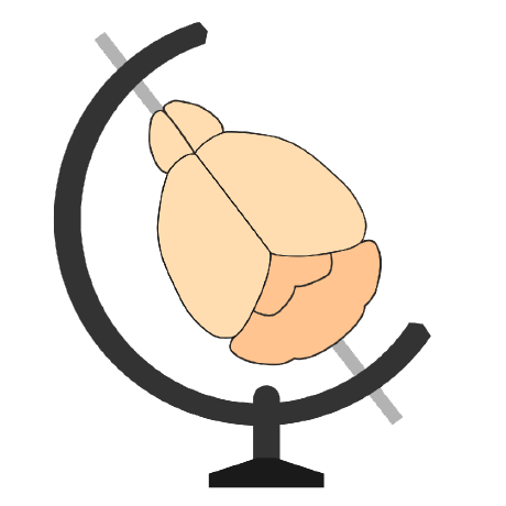 Github Brainglobe Brainrender A Python Package To Visualise - Download High Quality Geometric Texture | Retina