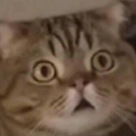 Cww000 Wenn Github - Professional 4K Dark Illustrations | Free Download