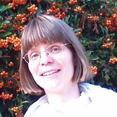 Github Cpoerschke Ltr With Bees - Amazing HD Minimal Illustrations | Free Download