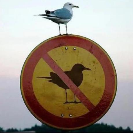 Issue 39 Gerrnperl Outline Map Github - Space Images - High Quality HD Collection