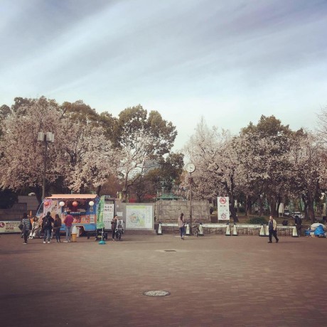 Huangdat Nguyen Hoang Dat Github - Download Beautiful Nature Pattern | Ultra HD