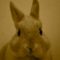 Atsushi Kaida Github - 8K Dark Designs for Desktop