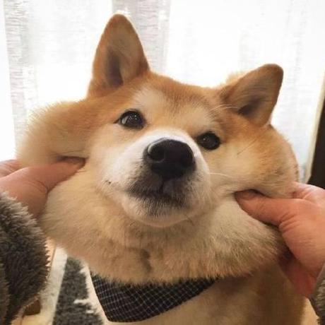 Saxon Sun Saxon Github - Best Abstract Pictures in Full HD