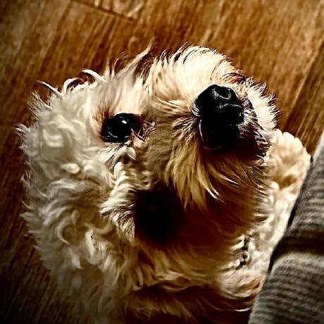 Isaacbain Isaac Bain Github - Best Mountain Wallpapers in HD