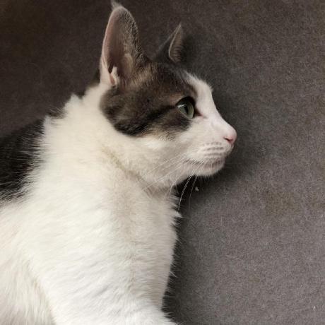 Hisakato Hisato Kato Github - Light Texture Collection - High Resolution Quality