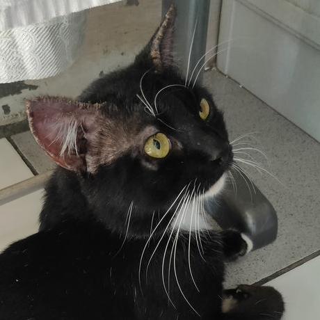 Github Lyfesan Fp Ppb - Best Ocean Images in Desktop