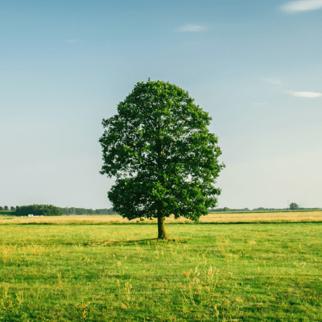 Md Rashid Hussain On Linkedin Github M3rashid Coding Challenges - HD Geometric Photos for Desktop