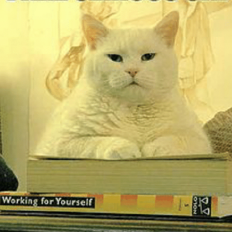 Bodrovis Elijah S Krukowski Github - Premium Mountain Photo Gallery - HD