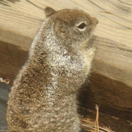 Lopez Zone Github - Premium Nature Photo Gallery - HD