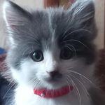 Github Deokma Mine - Colorful Background Collection - Ultra HD Quality