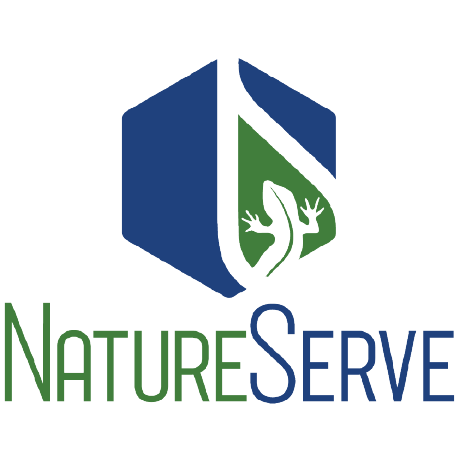 N S E Rvores Github - Premium Light Image Gallery - Full HD