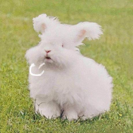 Huilingpeng Huiling Github - Best Space Photos in Retina