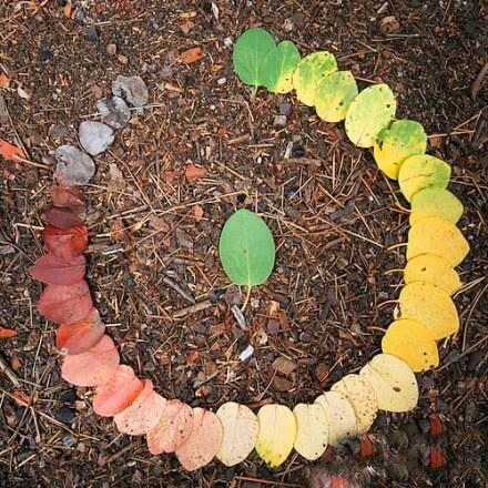 Github Ztc1997 Ikuai Bypass - Best Minimal Images in High Resolution