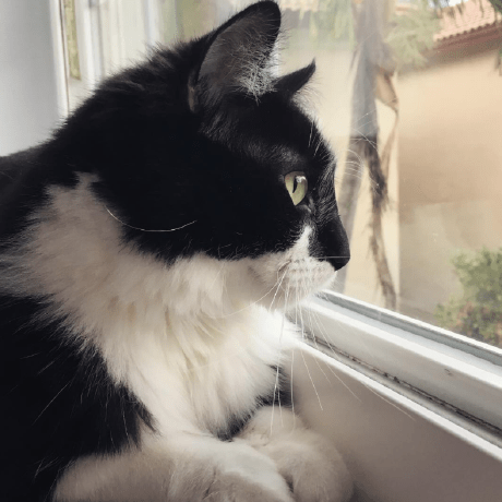 Thomascorrie Thomas Corrie Github - Dark Illustrations - Perfect Retina Collection