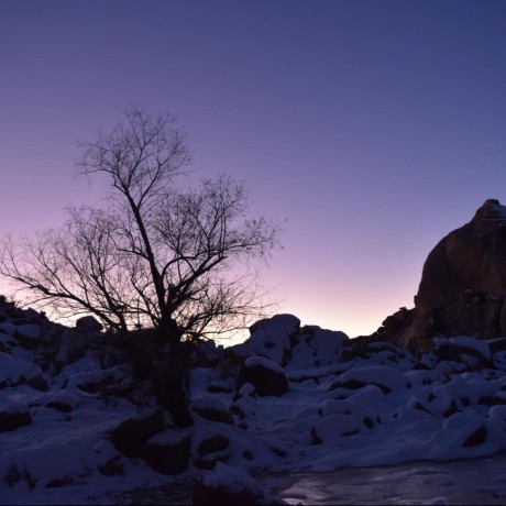 Pull Requests Bella Project Catalina Github - Premium Sunset Photo Gallery - HD