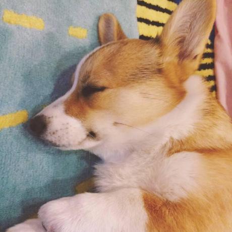 Skip187 Shawn Lee Github - Ultra HD Ultra HD Ocean Photos | Free Download