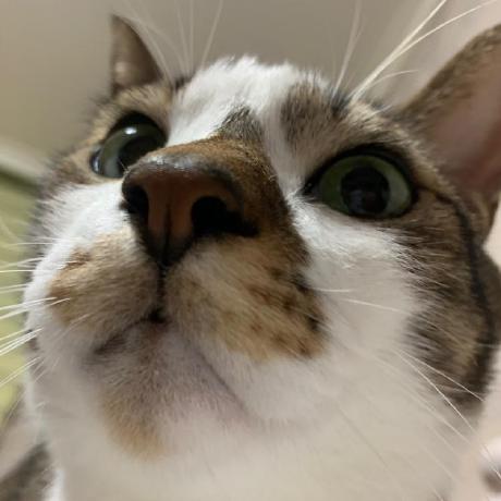 Hiroe Mkk Github - Best Space Designs in Ultra HD