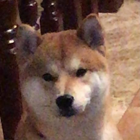 Cosmiccarry Carrie Thu Github - Download High Quality Sunset Texture | Ultra HD