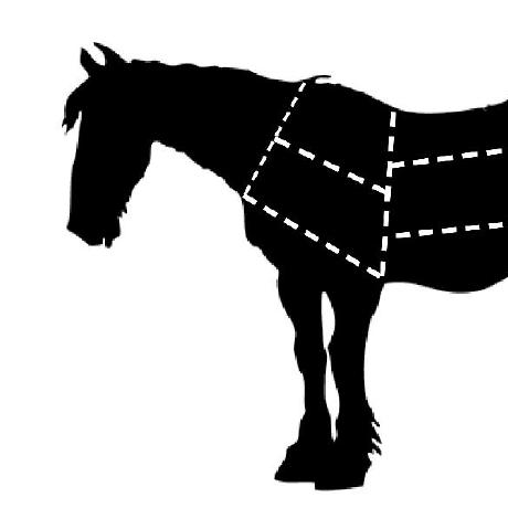 Wholehorseproject Whole Horse Project Github