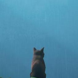 Freshman Lrt Yuyan Github - Premium Landscape Pattern Gallery - Full HD