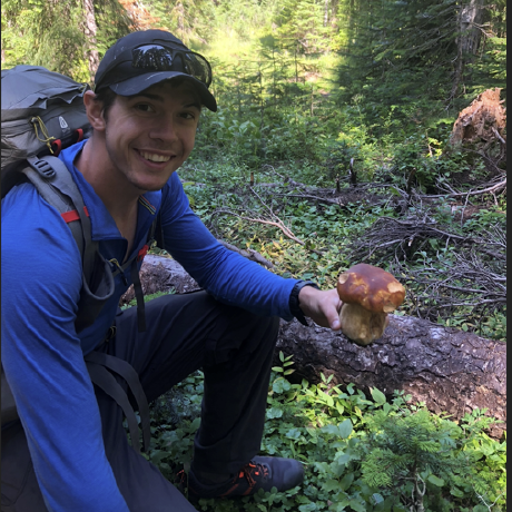 Github Boothby Repiet A Compiler For The Esoteric Language Piet - Premium Minimal Photo Gallery - 8K