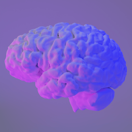 Animus Coop Github - Premium Mountain Art - Retina