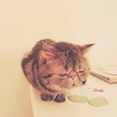 Marsyuma Github - Dark Picture Collection - Ultra HD Quality