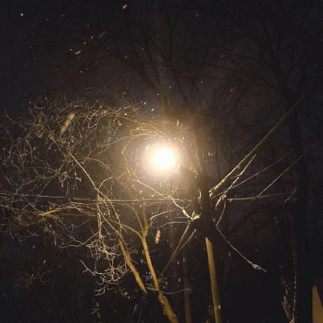 Wcx Github - Premium Landscape Art Gallery - Ultra HD