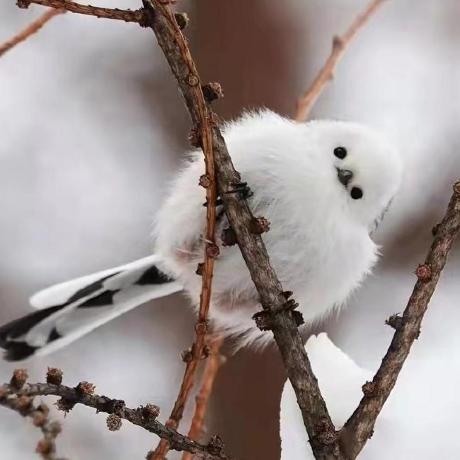 Irene Mono Tests Github - Best Colorful Textures in Mobile