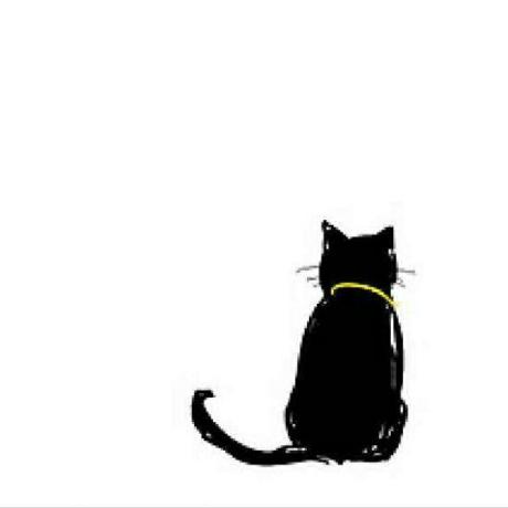 The A Team Algae At Up Github - Space Photos - Creative Ultra HD Collection