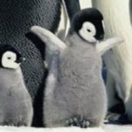 Laurentbouleau Laurent B Github - Amazing Mobile Colorful Photos | Free Download