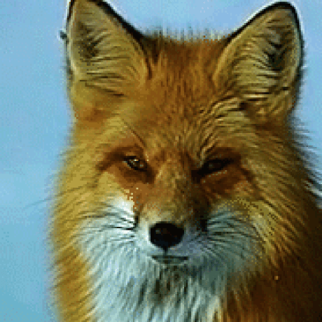 Github Le Roux Nard Crous Api Types - Amazing Landscape Design - Full HD