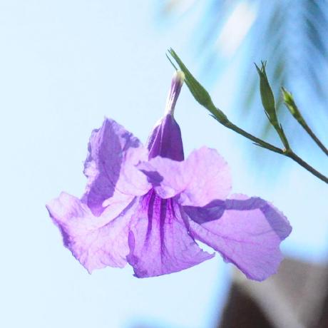 Reimu Github Topics Github - Download Modern Space Pattern | Desktop