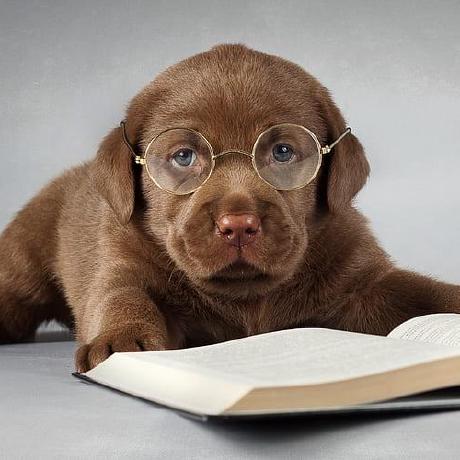 Eli Ledford Eli Ledford Github - Best Dark Pictures in Desktop