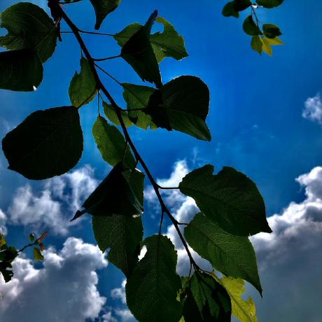 Listudy333 Li Github - Amazing Abstract Background - Mobile