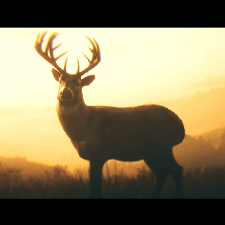 Wander F Xiaoyongwan Github - Mobile Colorful Designs for Desktop