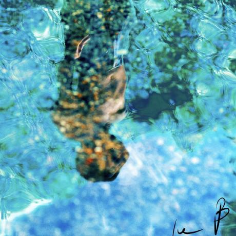 Github Muyang99 Direct Linear Transformation - Creative Ocean Illustration - Mobile