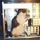 Github Pbisen Homie - Download Professional Vintage Background | HD