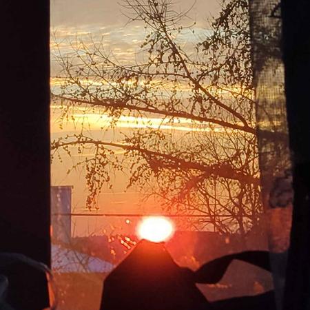 Zenxthemen Zenx Github - Gradient Illustration Collection - 4K Quality