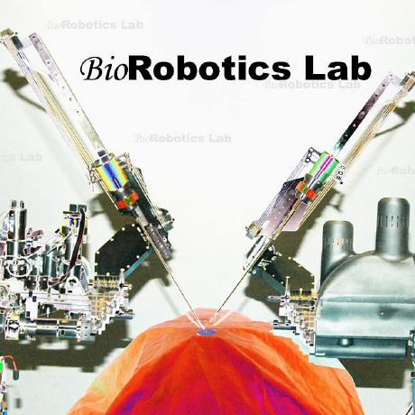 Biorobotics Spring 2020 Github - Premium Sunset Design Gallery - Desktop
