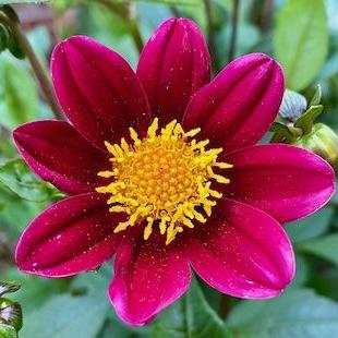 G Barrett Github - Abstract Wallpapers - Amazing 4K Collection