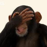 Entity Spawner Issue 155 Vadis365 Mob Grinding Utils Github - Best Ocean Pictures in HD