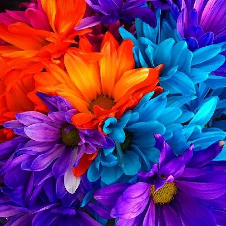 Narumi Sato Github - Premium Colorful Pattern Gallery - High Resolution