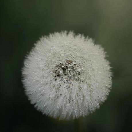 Jiazhang Ml Jia Zhang Github - Download Classic Geometric Design | 4K