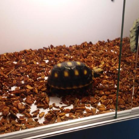 Psy1064 Seyong Park Github - Mountain Image Collection - Mobile Quality