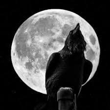 Am0k Git Pavel Github - City Design Collection - HD Quality