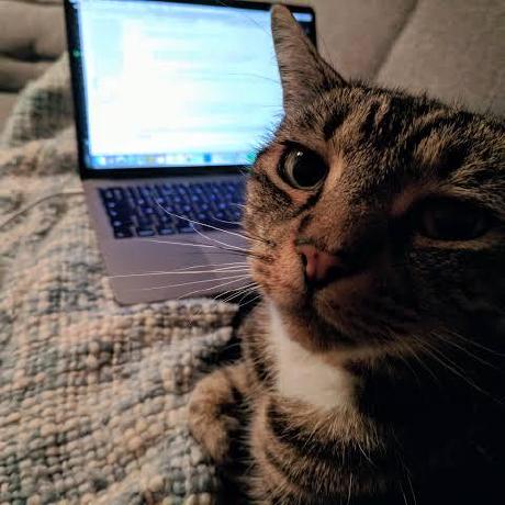 Madwinn As M Github - Download Elegant Ocean Picture | HD