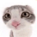 Github Stforscratch Scratchtools Docs The Official Docs Website For - 8K Colorful Illustrations for Desktop