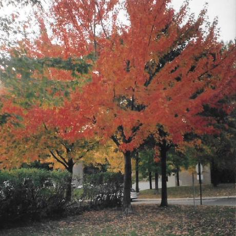 S Ruban Ruban Srirambabu Github