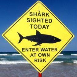 Sharktrack Github - Download Incredible Landscape Texture | High Resolution